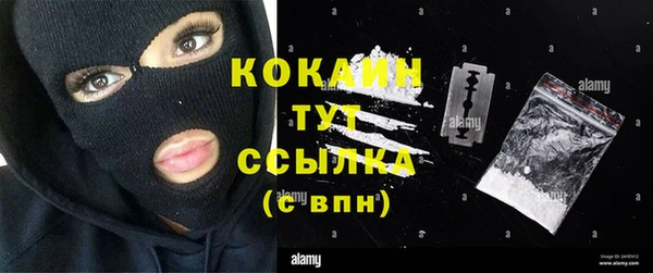 PSILOCYBIN Каменск-Шахтинский