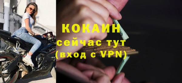 МДПВ Чекалин