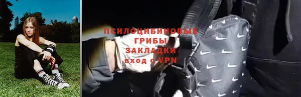 стаф Чегем