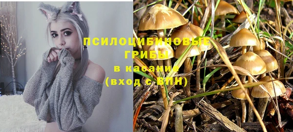 альфа пвп Каменка