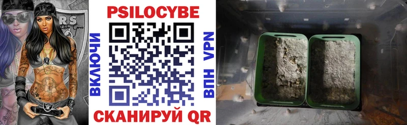 Купить  Красавино  Псилоцибиновые грибы Psilocybine cubensis 